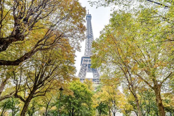 Sale Luxury apartment Paris 7 5 Rooms 137 m²