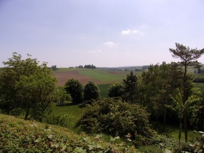 Vente Maison de luxe Chavenay 10&nbsp;Pièces 315&nbsp;m²