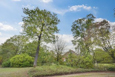 Vente Maison de luxe Le Vésinet 10&nbsp;Pièces 225&nbsp;m²