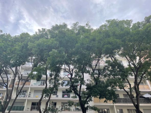 Vente Studio de luxe Paris 18 1&nbsp;pièce 27.34&nbsp;m²