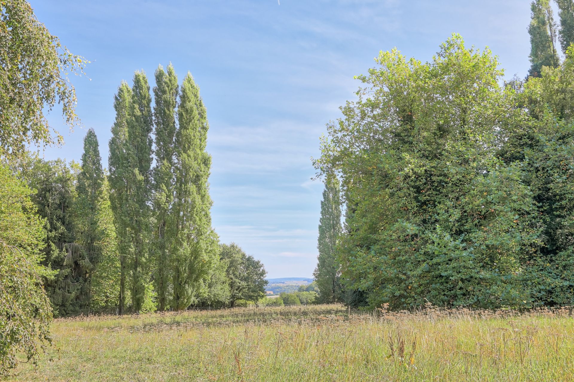 maison de luxe 10 Pièces en vente sur MONTFORT L AMAURY (78490)