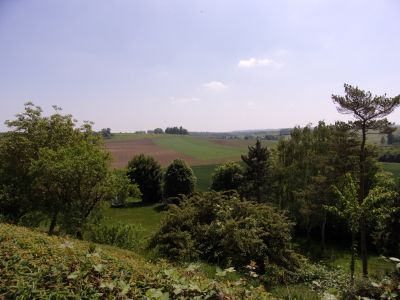 Vente Maison de luxe Montfort-l'Amaury 10&nbsp;Pièces 450&nbsp;m²