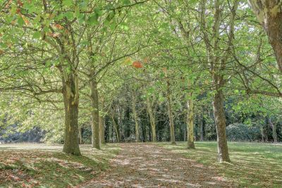 maison de luxe 10 Pièces en vente sur MONTFORT L AMAURY (78490) Vente Maison de luxe Montfort-l'Amaury 10 Pièces 450 m²