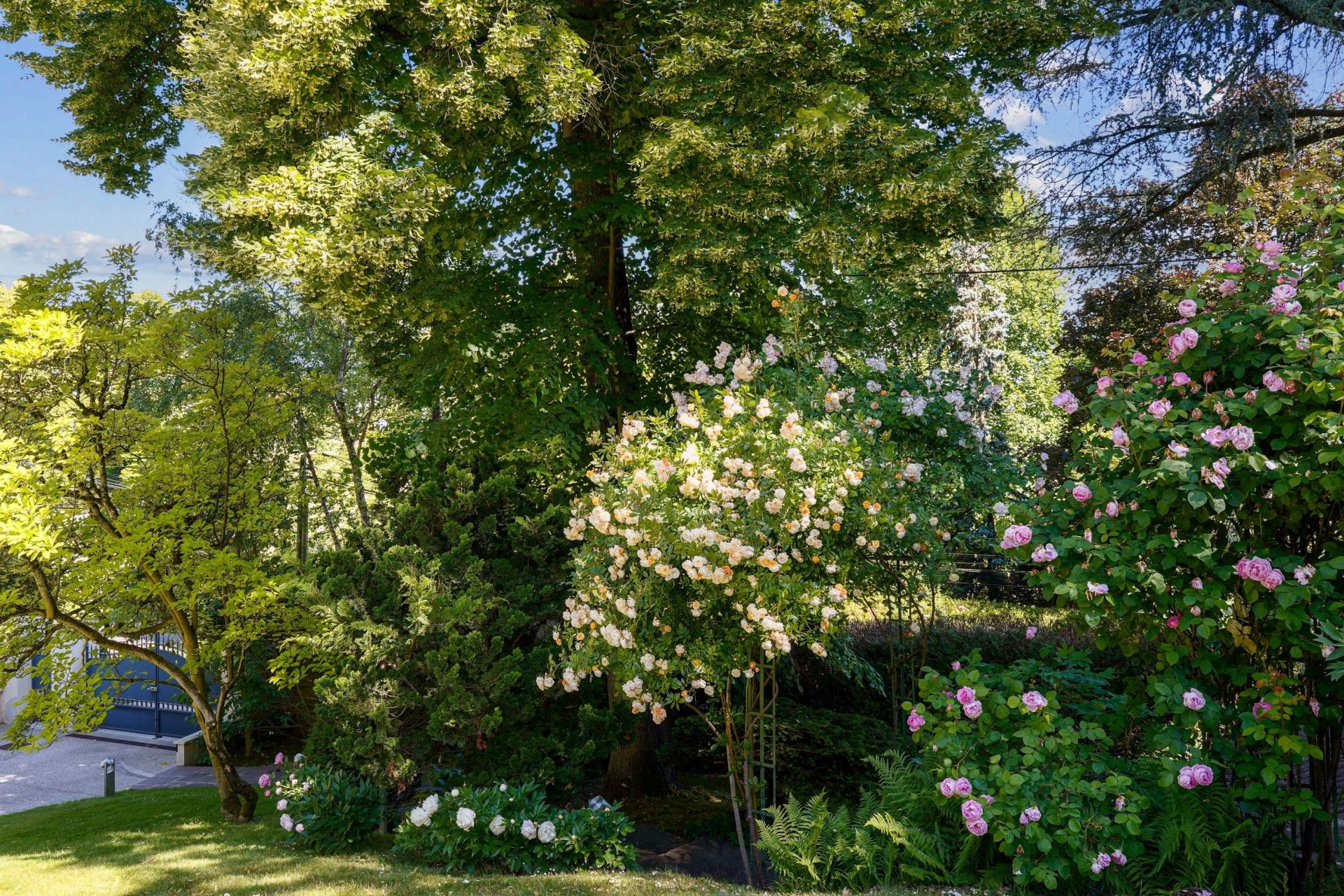 maison de luxe 12 Pièces en vente sur RUEIL MALMAISON (92500)