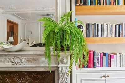 Sale Luxury apartment Neuilly-sur-Seine 8 Rooms 210 m²