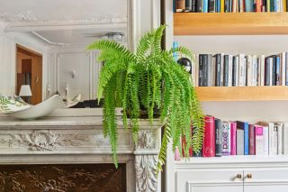 luxury apartment 8 Rooms for sale on NEUILLY SUR SEINE (92200)