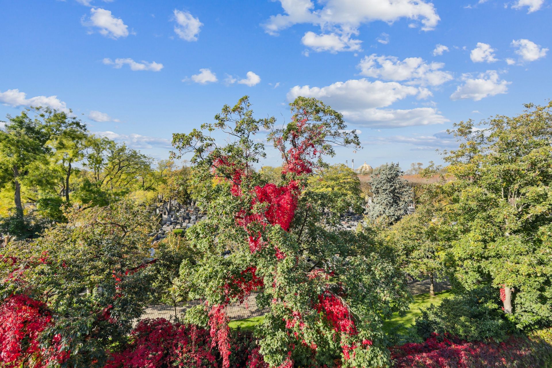 luxury house 11 Rooms for sale on PARIS (75020)