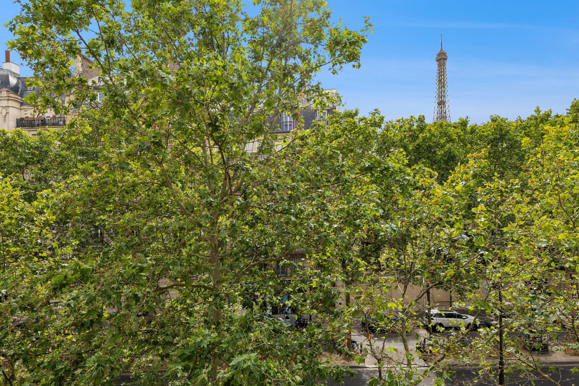 luxury apartment 6 Rooms for sale on PARIS (75007)