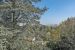 luxury house 12 Rooms for sale on RUEIL MALMAISON (92500)