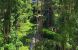 luxury apartment 5 Rooms for sale on PARIS (75016)