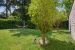 luxury apartment 5 Rooms for sale on NEUILLY SUR SEINE (92200)