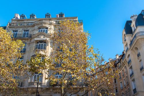AVENUE HOCHE