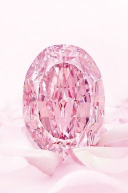 L'esprit de la rose