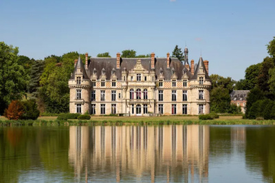 Acheter un château en France en 2026 : prix, profil des acheteurs et pièges à éviter