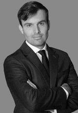 Hugo WERTEL